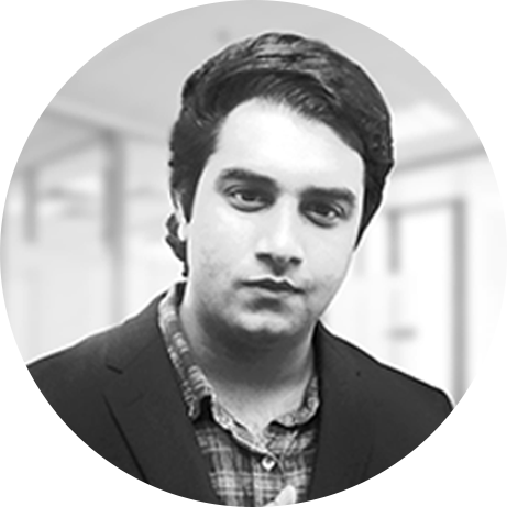 Lead Developer